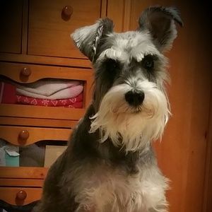 Meet your Posher, Erin